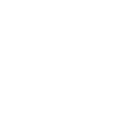 Inventory Icon